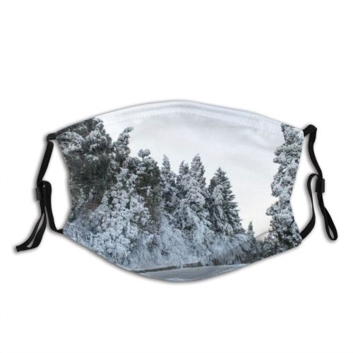 yanfind Ice East Frost Landscape Trip Frozen Tranquility Built Rural Tree Scene Snow Dust Washable Reusable Filter and Reusable Mouth Warm Windproof Cotton Face