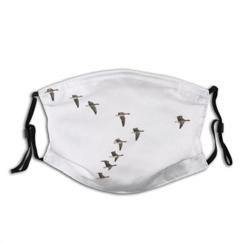 yanfind Geese Birds Winter Migration Flying Flock Bird Bird Flight Goose Beak Dust Washable Reusable Filter and Reusable Mouth Warm Windproof Cotton Face