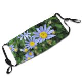 yanfind Plant Aster Heath Daisy Plant Marguerite Flower Flowers Flowering Daisy Chamomile Smooth Dust Washable Reusable Filter and Reusable Mouth Warm Windproof Cotton Face