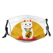 yanfind Asian Japanese Cat Cute Year Fortune Luck Chinese Coin Gold Lucky Happy Dust Washable Reusable Filter and Reusable Mouth Warm Windproof Cotton Face