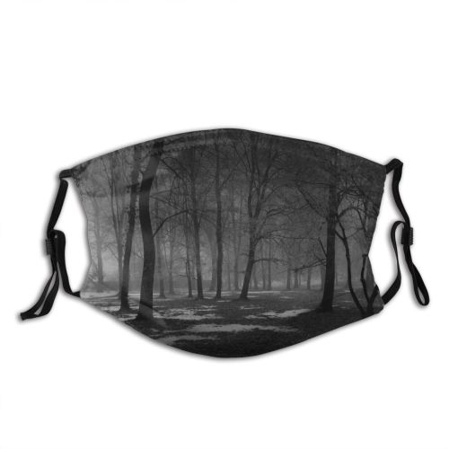 yanfind Winter Landscape Tree Atmosphere Natural Atmospheric Dust Washable Reusable Filter and Reusable Mouth Warm Windproof Cotton Face