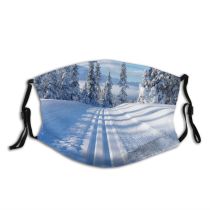 yanfind Winter Winter Sun Woody Wilderness Landscape Sky Ice Snow Tree Biome Trees Dust Washable Reusable Filter and Reusable Mouth Warm Windproof Cotton Face