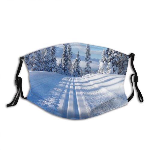 yanfind Winter Winter Sun Woody Wilderness Landscape Sky Ice Snow Tree Biome Trees Dust Washable Reusable Filter and Reusable Mouth Warm Windproof Cotton Face