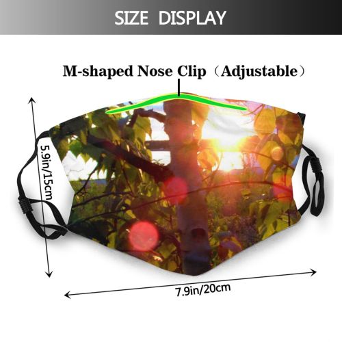 yanfind Flare Sunlight Lakeshore Leaf Sky Plant Tree Lens Branch Botany Light Plant Dust Washable Reusable Filter and Reusable Mouth Warm Windproof Cotton Face