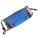 yanfind Winter Wintercounty Winter Natural Atmospheric Woody Landscape Sky Plant Snow Winterscene Tree Dust Washable Reusable Filter and Reusable Mouth Warm Windproof Cotton Face
