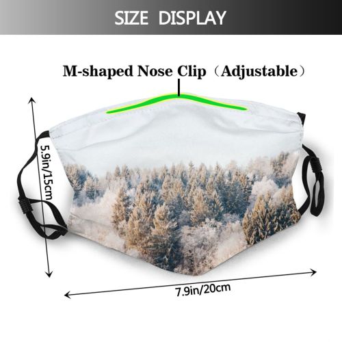 yanfind Idyllic Vacation Amazing Calm Frost Spruce Pine Wild Forest Silent Coniferous Evergreen Dust Washable Reusable Filter and Reusable Mouth Warm Windproof Cotton Face