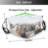 yanfind Idyllic Vacation Amazing Calm Frost Spruce Pine Wild Forest Silent Coniferous Evergreen Dust Washable Reusable Filter and Reusable Mouth Warm Windproof Cotton Face