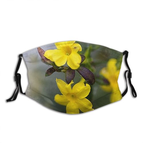 yanfind Jasmine Netherlands Drenthe Assen Flower October Winter Dust Washable Reusable Filter and Reusable Mouth Warm Windproof Cotton Face
