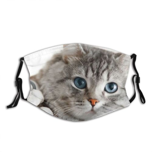 yanfind Hospital Fur Professional Stethoscope Young Cat Kitty Cute Clinic Vet Grey Medical Dust Washable Reusable Filter and Reusable Mouth Warm Windproof Cotton Face
