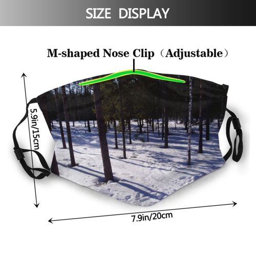 yanfind Winter Sky Tree Sweden Plant Forest Winter Natural Freezing Snow Woodland Woody Dust Washable Reusable Filter and Reusable Mouth Warm Windproof Cotton Face