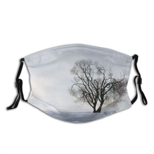 yanfind Zakopane Winter Lonely Winter Natural Atmospheric Woody Landscape Sky Branch Poland Snow Dust Washable Reusable Filter and Reusable Mouth Warm Windproof Cotton Face