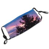 yanfind Winter Sky Natural Atmospheric Cloud Landscape Sky Clouds Pine Afterglow Tree Tree Dust Washable Reusable Filter and Reusable Mouth Warm Windproof Cotton Face