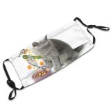 yanfind Isolated Assortment Vegetable Meow Cat Kitty British Cute Carnivore Raw Flying Shorthair Dust Washable Reusable Filter and Reusable Mouth Warm Windproof Cotton Face