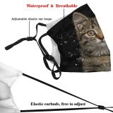 yanfind Isolated Fur Furious Little Cat Young Cute Attention Shorthair Obedient Scared Beautiful Dust Washable Reusable Filter and Reusable Mouth Warm Windproof Cotton Face