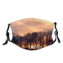 yanfind Winter Sky Natural Atmospheric Sunset Landscape Vegetation Sky Afterglow Sunset Trees Sunrise Dust Washable Reusable Filter and Reusable Mouth Warm Windproof Cotton Face