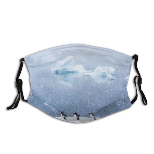 yanfind Ice Penguin Globe Polar Snow Wildlife Antarctica Scenics Formation Travel Sea Adventure Dust Washable Reusable Filter and Reusable Mouth Warm Windproof Cotton Face
