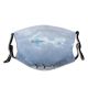 yanfind Ice Penguin Globe Polar Snow Wildlife Antarctica Scenics Formation Travel Sea Adventure Dust Washable Reusable Filter and Reusable Mouth Warm Windproof Cotton Face