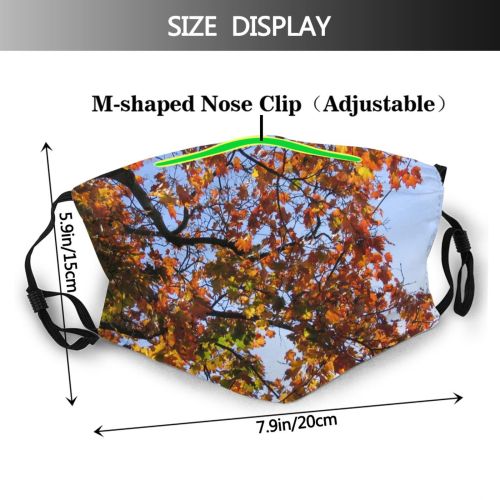yanfind Temperate Sky Sun Autumn Branches Woody Colourful Leaves Branch Sky Plant Fall Dust Washable Reusable Filter and Reusable Mouth Warm Windproof Cotton Face