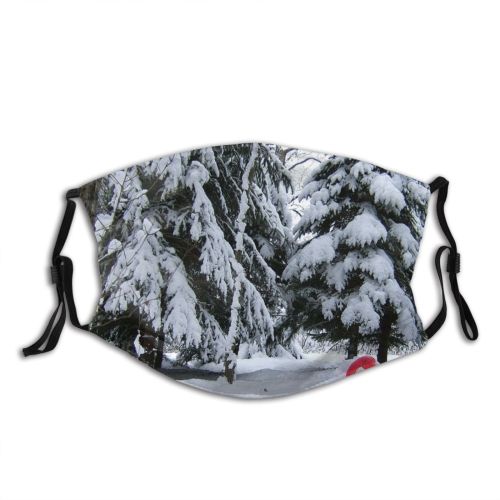yanfind Ridge Winter Slope Massif Winter Geological Mountain Sky Pick Snow Mountain Landforms Dust Washable Reusable Filter and Reusable Mouth Warm Windproof Cotton Face