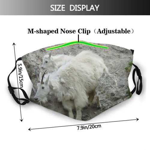 yanfind Goat Goats Jasper Mountain Cow Antelope Vertebrate Feral Family Canada Mountain Wildlife Dust Washable Reusable Filter and Reusable Mouth Warm Windproof Cotton Face
