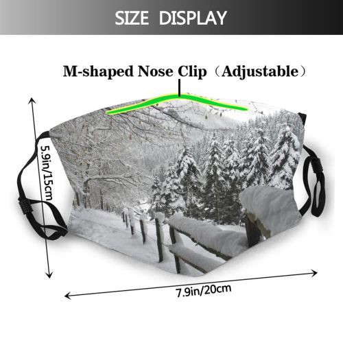yanfind Winter Christmas Winter Ice Ice Branch Snow Forest Season Tree Blizzard Frost Dust Washable Reusable Filter and Reusable Mouth Warm Windproof Cotton Face