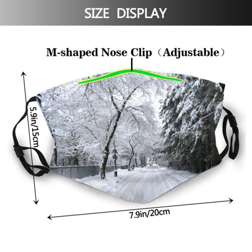 yanfind Lane Road Forest Landscape Tree Tree Branch Plant Frost Winter Natural Freezing Dust Washable Reusable Filter and Reusable Mouth Warm Windproof Cotton Face