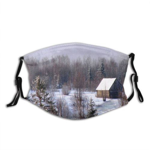 yanfind Winter Home Winter Natural Atmospheric Morning Area Rural Branch Landscape Sky Snow Dust Washable Reusable Filter and Reusable Mouth Warm Windproof Cotton Face