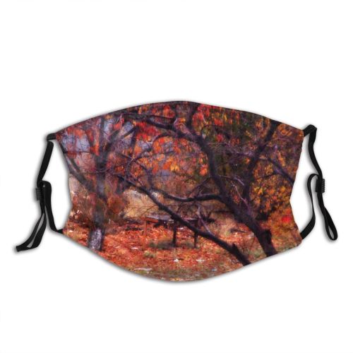 yanfind Deciduous Forest Hardwood Leaf Fall Northern Tree Branch Plant Autumn Autumn Woodland Dust Washable Reusable Filter and Reusable Mouth Warm Windproof Cotton Face