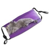 yanfind Fur Young Cat British Cute Resting Shorthair English Grey Purr Soft Beautiful Dust Washable Reusable Filter and Reusable Mouth Warm Windproof Cotton Face