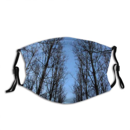 yanfind Trunk Natural Woody Sky Branch Wood Arbol Tree Tree Trunk Forest Bosque Dust Washable Reusable Filter and Reusable Mouth Warm Windproof Cotton Face
