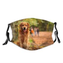 yanfind Forrest Canidae Dog Golden Sporting Dog Vertebrate Carnivore Golden Autumn Dust Washable Reusable Filter and Reusable Mouth Warm Windproof Cotton Face