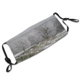 yanfind Winter Natural Winter Atmospheric Sad Landscape Sky Cloudy Snow Tree Frost Freezing   Dust Washable Reusable Filter and Reusable Mouth Warm Windproof Cotton Face
