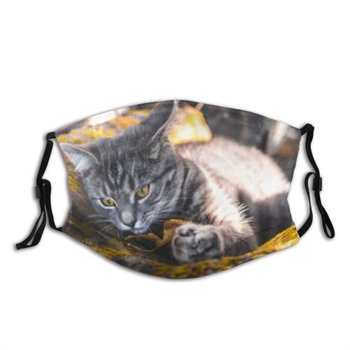 yanfind Garden Fur Closed Cat Kitty Backyard Cute Kharkov Village Warm Meme Tones Dust Washable Reusable Filter and Reusable Mouth Warm Windproof Cotton Face