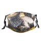 yanfind Garden Fur Closed Cat Kitty Backyard Cute Kharkov Village Warm Meme Tones Dust Washable Reusable Filter and Reusable Mouth Warm Windproof Cotton Face