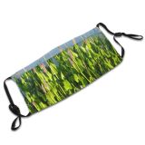 yanfind Plant Flower Aquatic Plant Reflections Groundcover Growing Family Lilypads Pond Pond Outdoor Dust Washable Reusable Filter and Reusable Mouth Warm Windproof Cotton Face