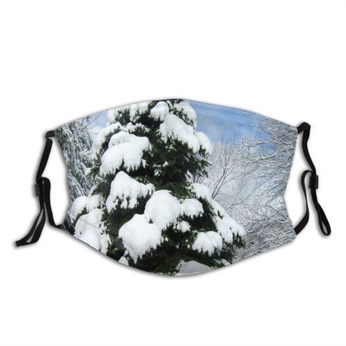 yanfind Winter Pine Family Sky Plant Tree Outside Branch Plant Frost Winter Freezing Dust Washable Reusable Filter and Reusable Mouth Warm Windproof Cotton Face