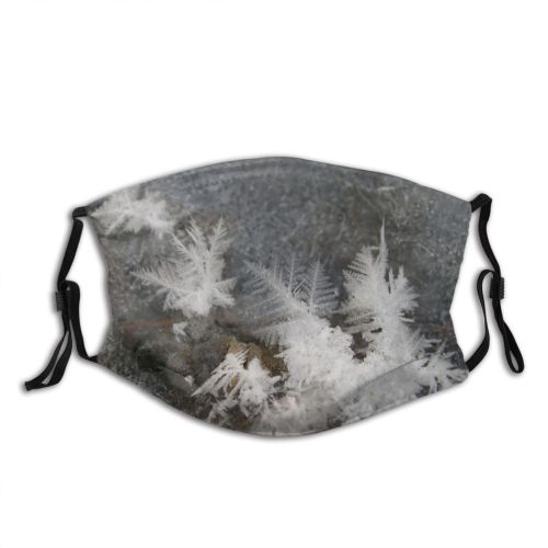 yanfind Winter Frozen Frost Ground Plant Tree Ice Ice Frost Winter Freezing Snow Dust Washable Reusable Filter and Reusable Mouth Warm Windproof Cotton Face