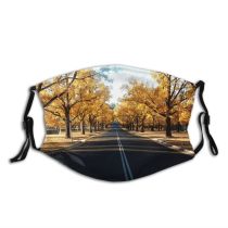 yanfind Road Leaves Australia Landscape Sky Trees Leaf Tree Plant Light Natural Road Dust Washable Reusable Filter and Reusable Mouth Warm Windproof Cotton Face