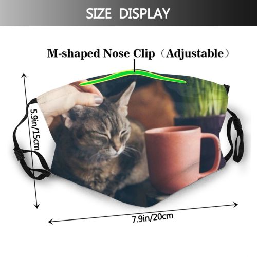 yanfind Ceramic Devon Young Anxiety Cat Kitty Cute Interacting Cozy Keep Purr Improve Dust Washable Reusable Filter and Reusable Mouth Warm Windproof Cotton Face