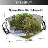 yanfind Plant California Tree Tree Plant Oak Spring Woody Grassland Wildflower Alone Grass Dust Washable Reusable Filter and Reusable Mouth Warm Windproof Cotton Face