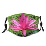 yanfind Plant Aquatic Plant Terrestrial Flower Flowers Flowering Botany Lily Family Petal Lotus Dust Washable Reusable Filter and Reusable Mouth Warm Windproof Cotton Face