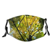 yanfind Temperate Deciduous Leaf Plant Forest Sunlight Tree Broadleaf Plant Branch Woody Dust Washable Reusable Filter and Reusable Mouth Warm Windproof Cotton Face
