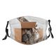 yanfind Foster Young Cat Kitty Cute Box Pet Cats Cardboard Tabby Kitten Adorable Dust Washable Reusable Filter and Reusable Mouth Warm Windproof Cotton Face