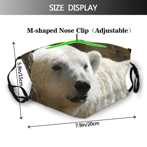 yanfind Vertebrate Adaptation Carnivore Terrestrial Arctic Bear Warming Snout Bear Predator Polar Dust Washable Reusable Filter and Reusable Mouth Warm Windproof Cotton Face