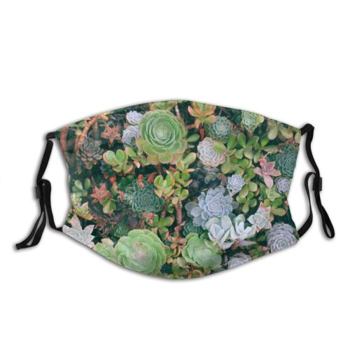yanfind Idyllic Tropical Botanical Ecology Daylight Rounded Exotic Greenery Top Silent Picturesque Scenery Dust Washable Reusable Filter and Reusable Mouth Warm Windproof Cotton Face