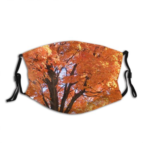 yanfind Natural Autumn Woody Leaves Landscape Maple Plant Fall Branch Leaf Tree Tree Dust Washable Reusable Filter and Reusable Mouth Warm Windproof Cotton Face