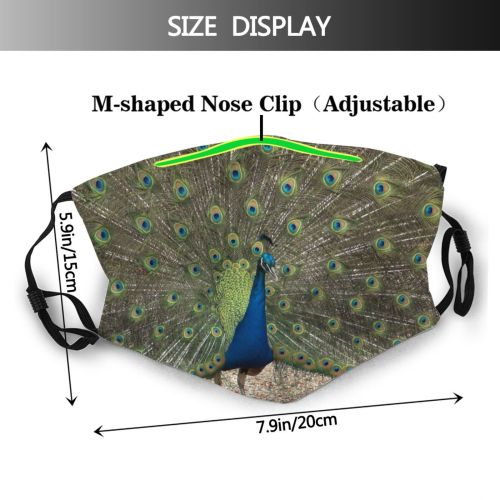 yanfind Plumage Tail Bird Peafowl Bird Organism Feathers Tree Phasianidae Galliformes Peacock Wildlife Dust Washable Reusable Filter and Reusable Mouth Warm Windproof Cotton Face