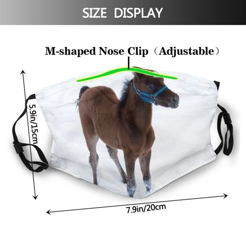 yanfind Winter Winter Horse Mane Snow Snout Vertebrate Baby Foal Arabian Mare Horse Dust Washable Reusable Filter and Reusable Mouth Warm Windproof Cotton Face