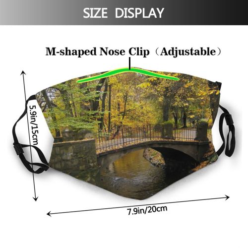 yanfind Humpback Natural Autumn Landscape Reflection Fall Leaf River Koszalin Tree Poland Autumn Dust Washable Reusable Filter and Reusable Mouth Warm Windproof Cotton Face