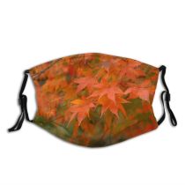 yanfind Deciduous Leaf Maple Leaf Maple Plant Tree Plant Momiji Autumn Woody Dust Washable Reusable Filter and Reusable Mouth Warm Windproof Cotton Face